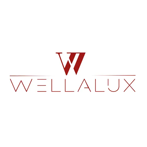 Съёмка Ajans Merter для Wellalux